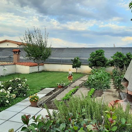 Il Giardino B&B Santa Maria La Carità Quarto foto